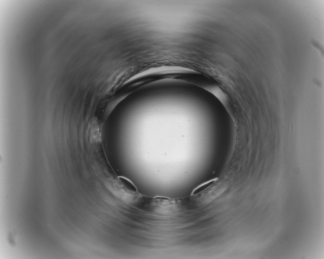 X0000096200384200801251018