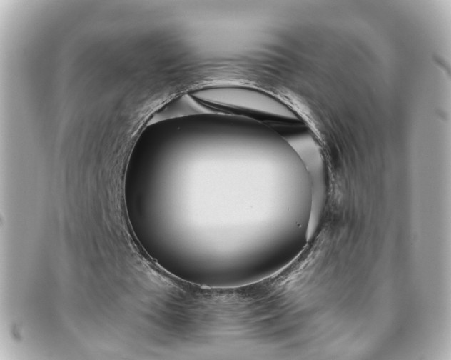 X0000096200385200801251017