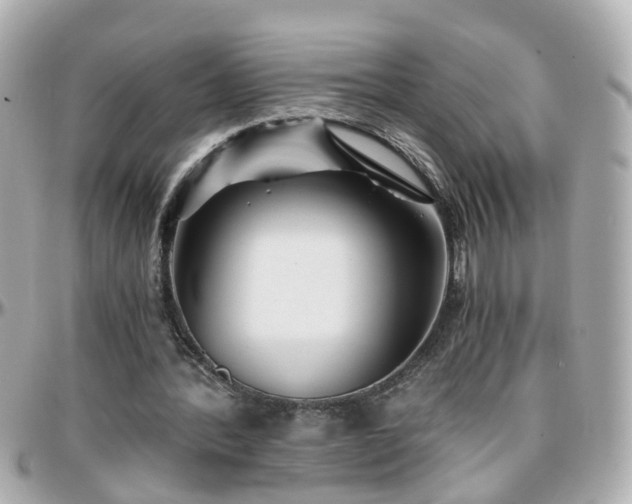 X0000096200388200801251017