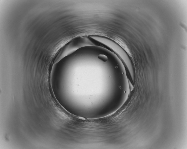 X0000096200389200801251017