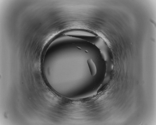 X0000096200391200801251017