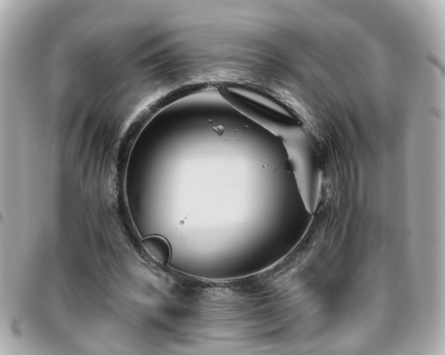 X0000096200392200801251017