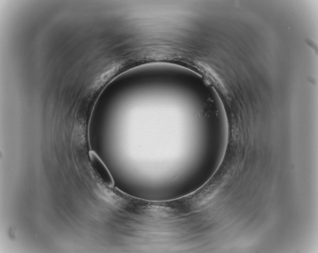 X0000096200393200801251017