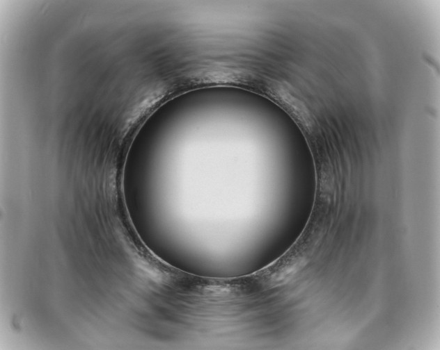 X0000096200394200801251017