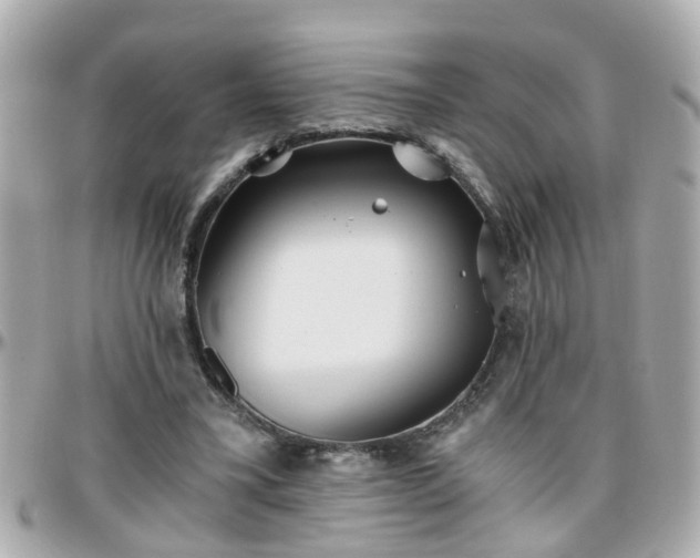 X0000096200395200801251017