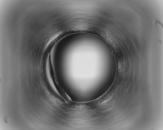 X0000096200396200801251017