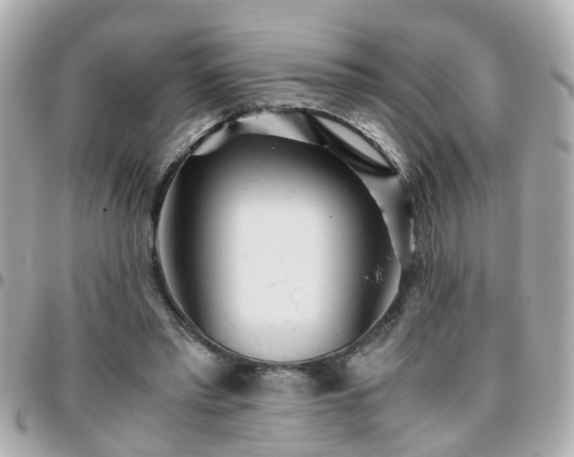 X0000096200397200801251017