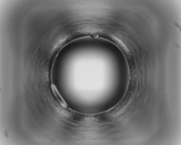 X0000096200399200801251017