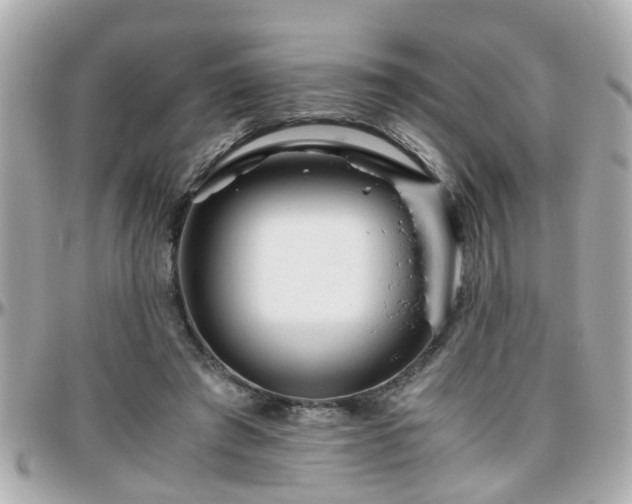 X0000096200401200801251017