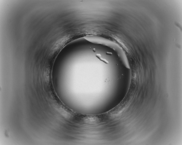 X0000096200402200801251017