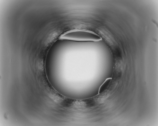 X0000096200403200801251017