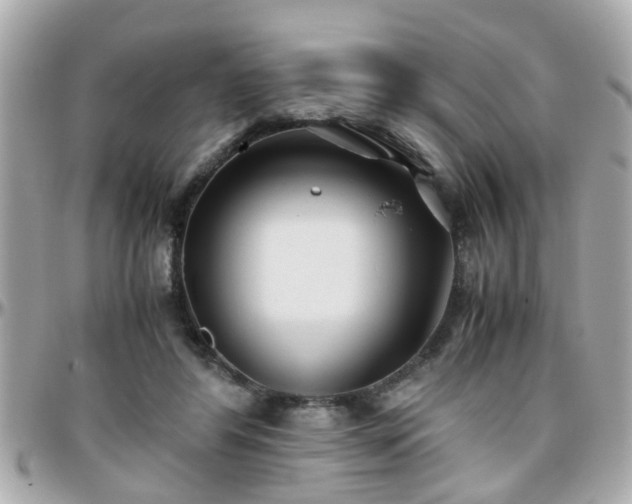 X0000096200404200801251017