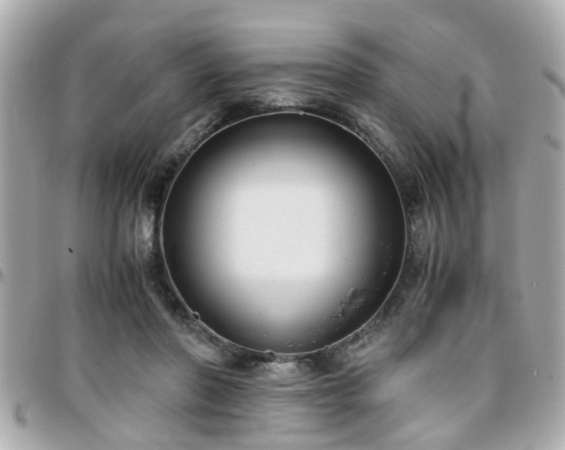 X0000096200406200801251017