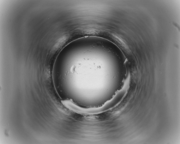 X0000096200407200801251017