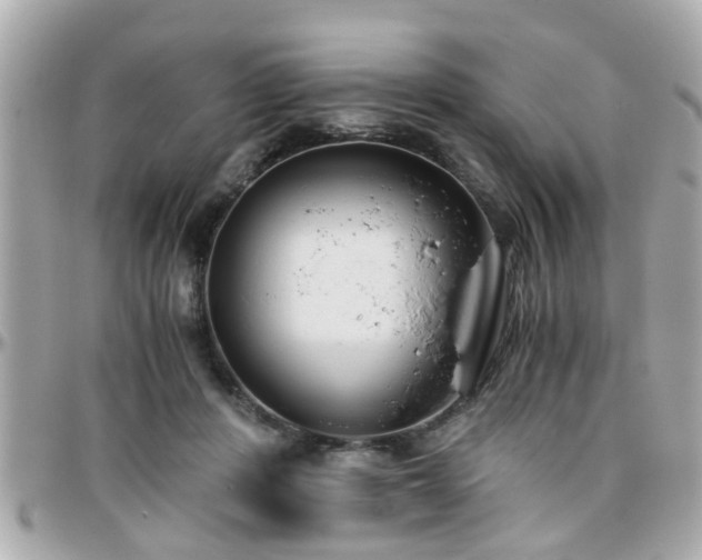 X0000096200408200801251017