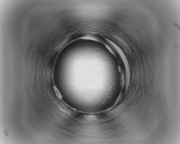 X0000096200409200801251017