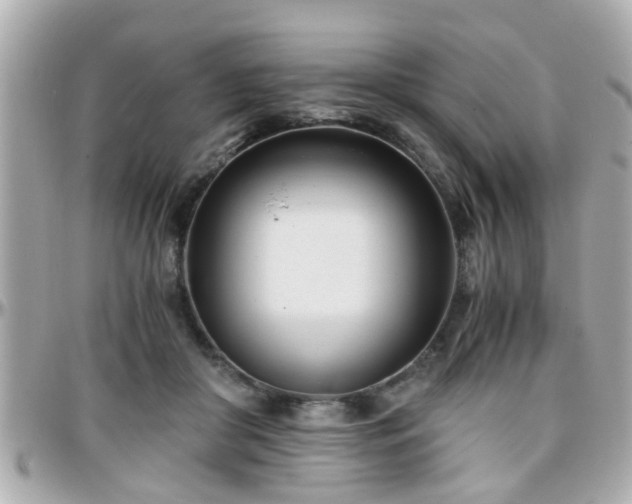 X0000096200410200801251017