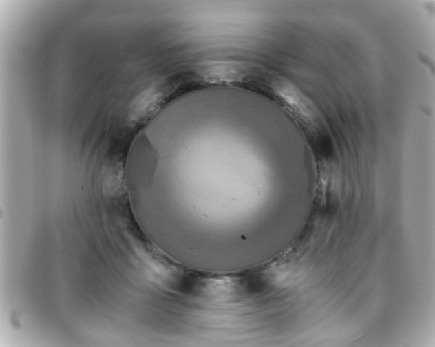 X0000096200411200801251017