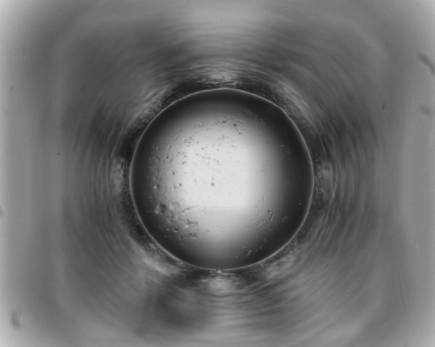 X0000096200412200801251017