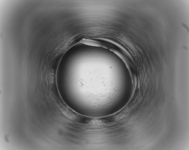 X0000096200413200801251017