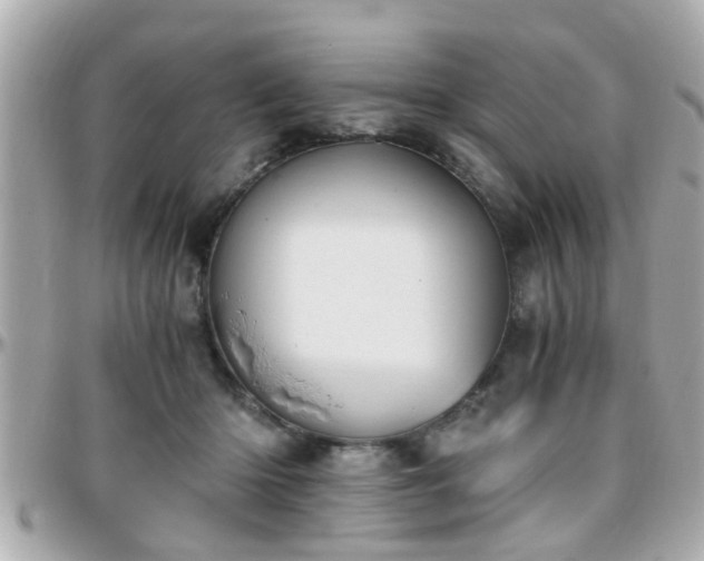 X0000096200414200801251017