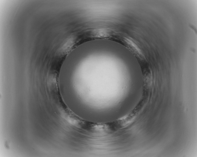 X0000096200415200801251017