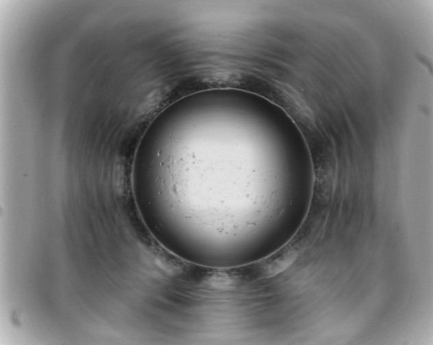 X0000096200416200801251017