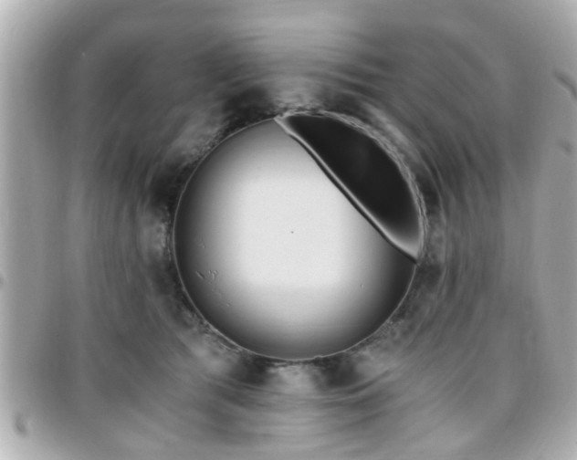 X0000096200417200801251017