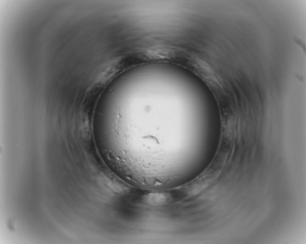 X0000096200418200801251017