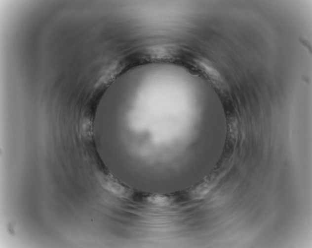 X0000096200419200801251017