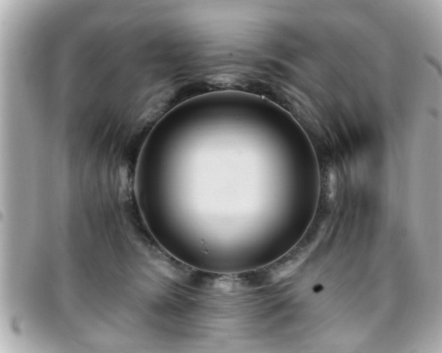 X0000096200420200801251017