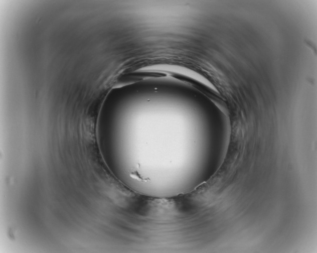 X0000096200421200801251017