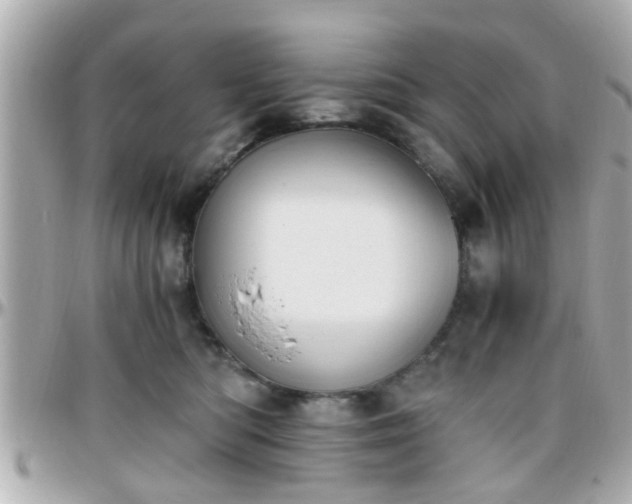 X0000096200422200801251017