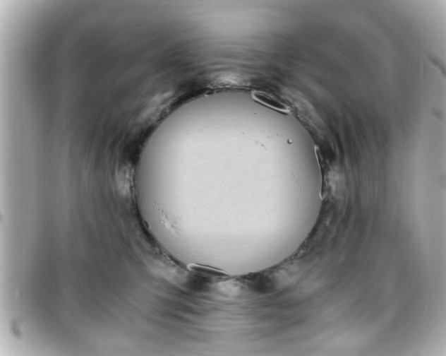 X0000096200423200801251017