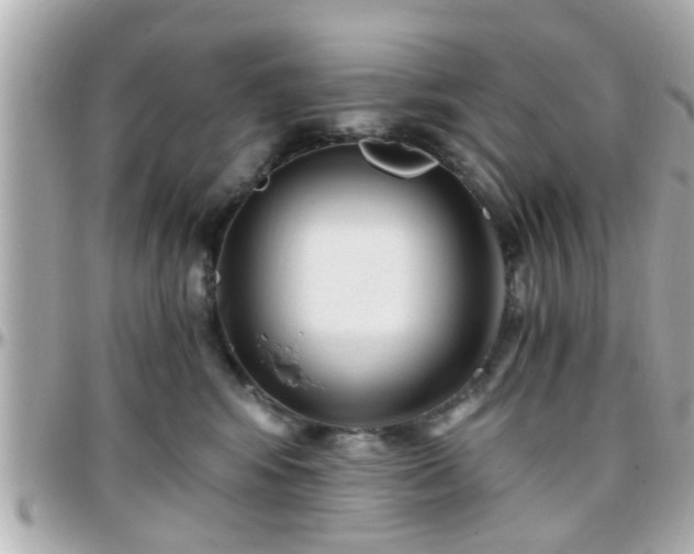 X0000096200424200801251017