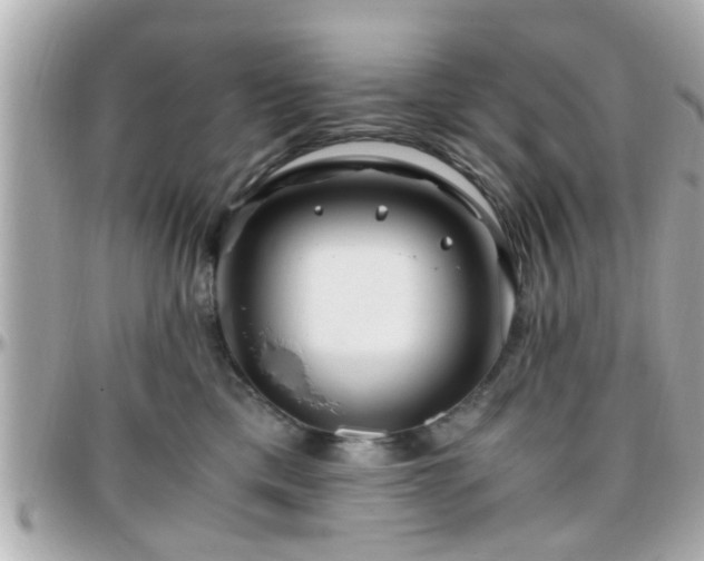 X0000096200425200801251016