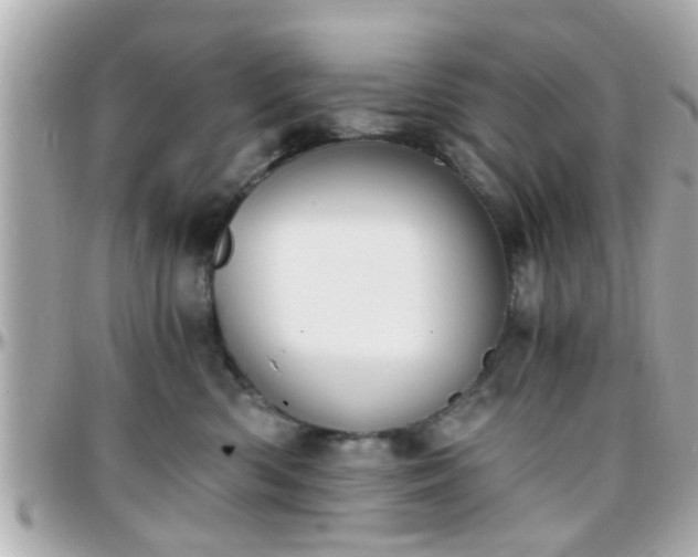 X0000096200426200801251016