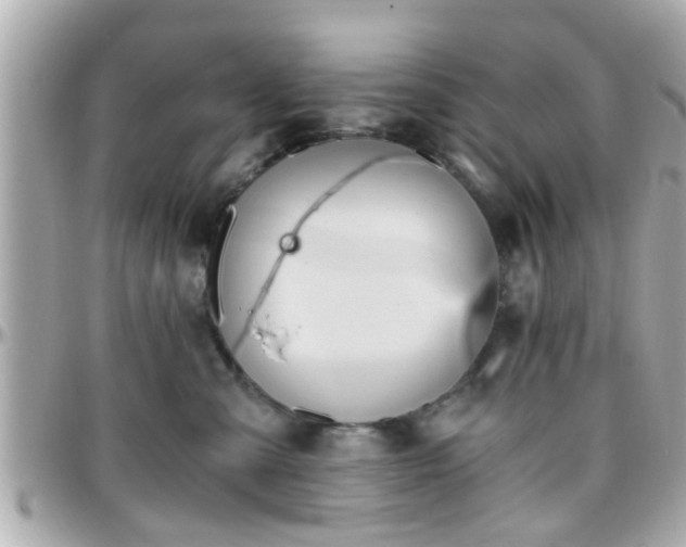 X0000096200427200801251016