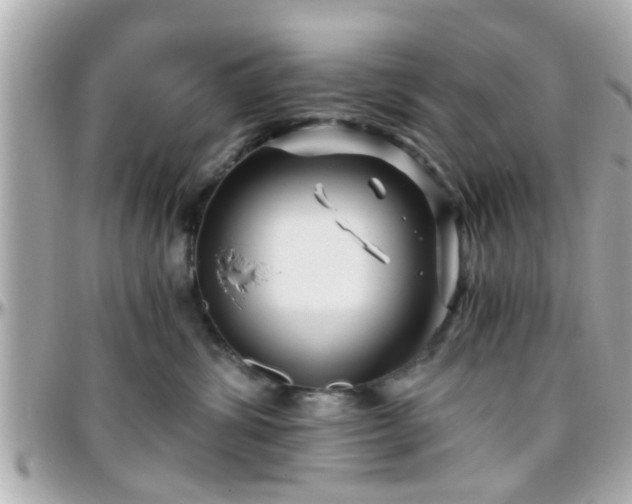 X0000096200428200801251016