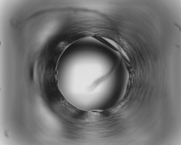 X0000096200429200801251016