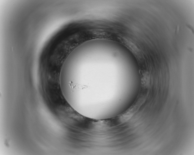 X0000096200430200801251016