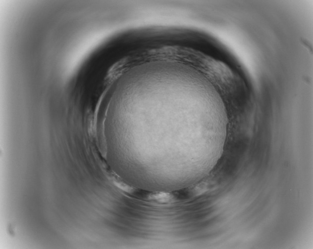 X0000096200431200801251016