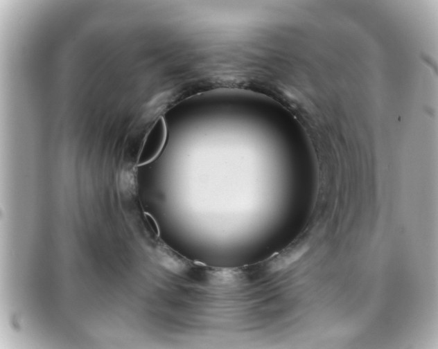 X0000096200432200801251016