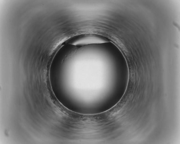 X0000096200434200801251016