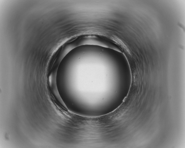 X0000096200436200801251016