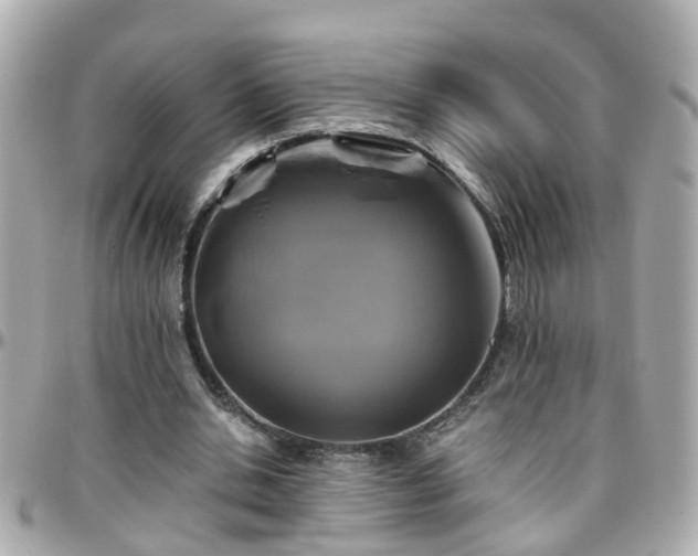 X0000096200438200801251016