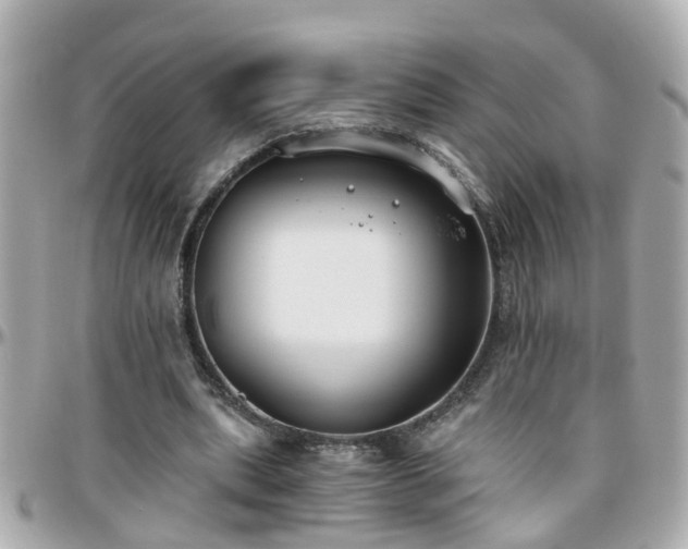 X0000096200439200801251016