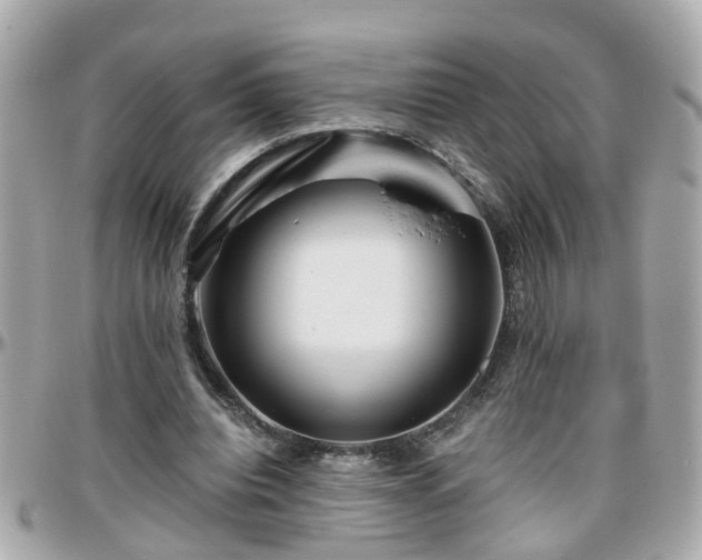 X0000096200440200801251016