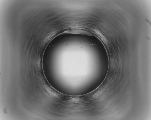 X0000096200441200801251016