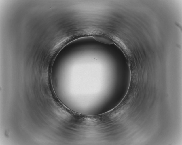 X0000096200442200801251016